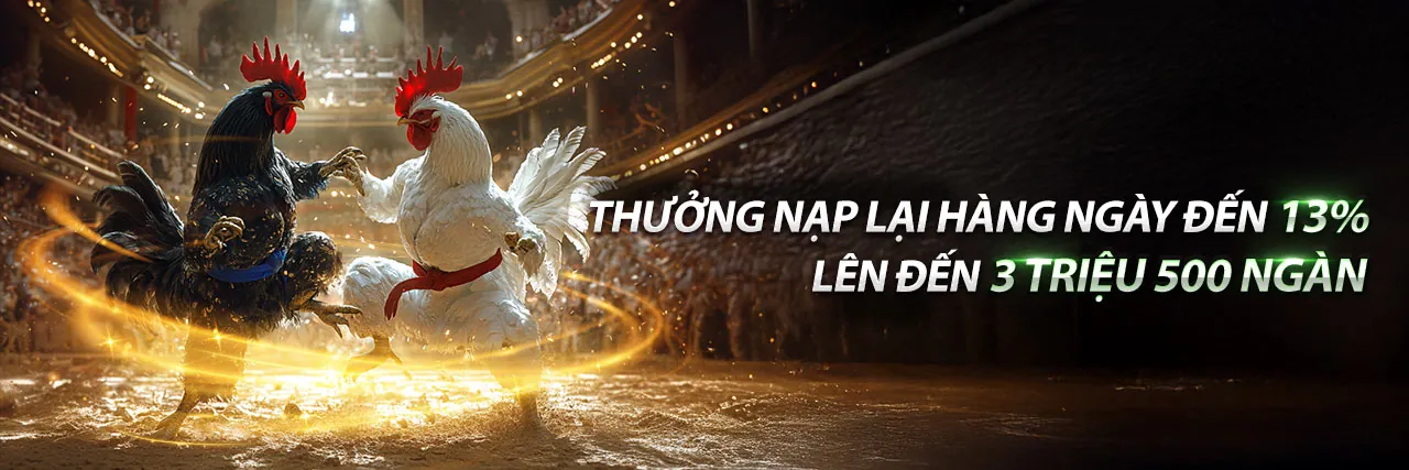 Đá Gà Trực Tiếp Ngày 29 Tháng 8